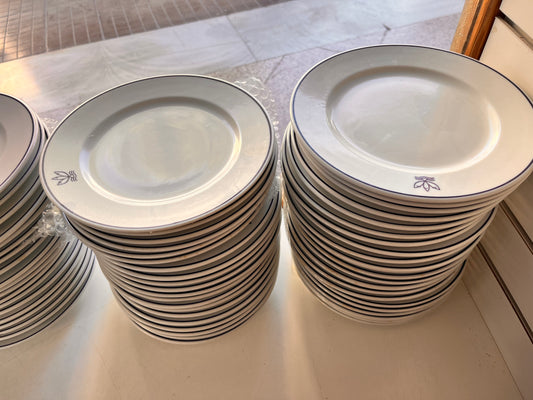 Platos calidad restaurante diámetro 20 cm