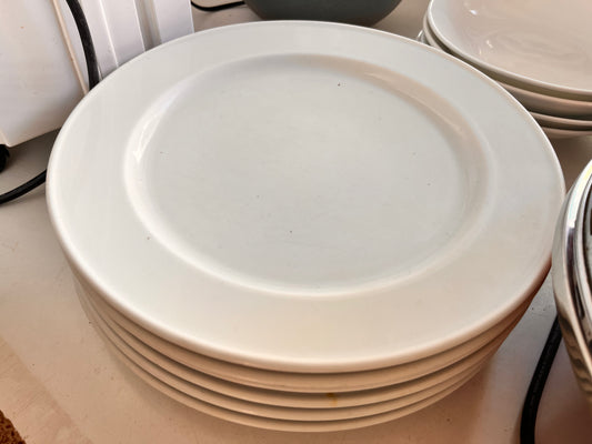platos hostelería diámetro 30 cm